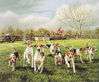 Werner Rentsch - Field of Hounds - Art Print UNAVAILABLE
