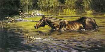 Werner Rentsch - Horsefeathers OUT OF PRINT