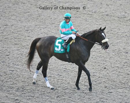 Zenyatta 2010 Clement Hirsch Post Parade