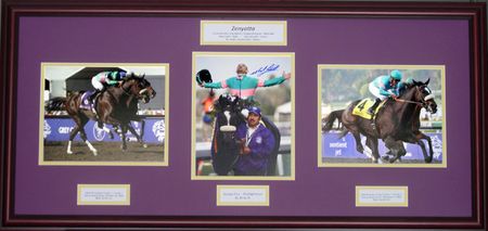 Zenyatta Breeder's Cup Commemorative