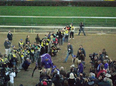 Zenyatta, Superstar! - Dancing & Strutting Prior to Breeders Cup 2010 UNAVAILABLE