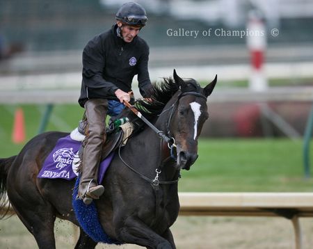 Zenyatta Workout Photo One