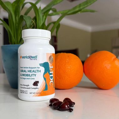 TDC-PERIODONTAL-JOINT-HEALTH-DOGS-CATS-120-SOFTGELS-ELITE-VET