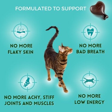 TDC-PERIODONTAL-JOINT-HEALTH-DOGS-CATS-30-SOFTGELS-ELITE-VET