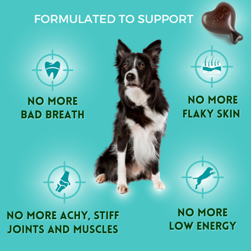 TDC-PERIODONTAL-JOINT-HEALTH-DOGS-CATS-30-SOFTGELS-ELITE-VET