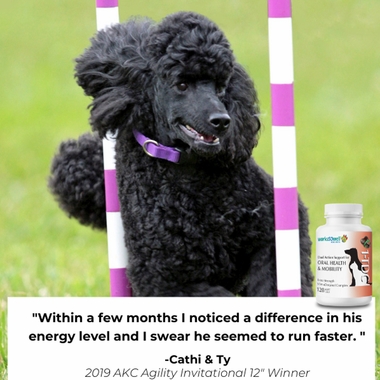 TDC-PERIODONTAL-JOINT-HEALTH-DOGS-CATS-30-SOFTGELS-ELITE-VET