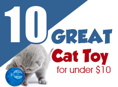 10 Great Cat Toys Under $10