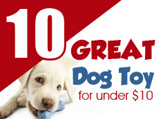 10 Great Dog Toys Under $10