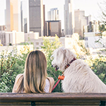 10 Places to Take Your Pet On The West Coast