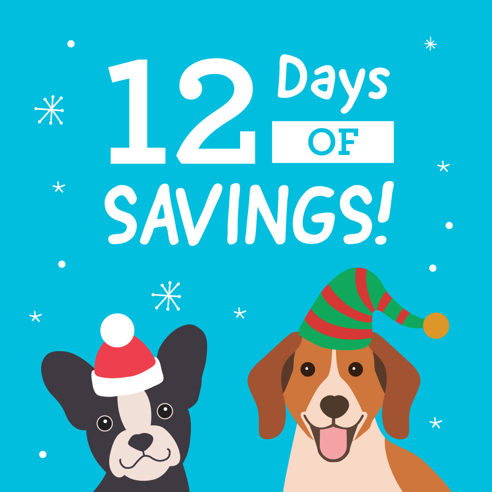 12 Days of Savings