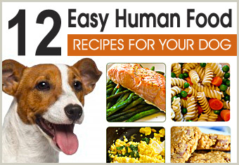 12 Human Food Recipes for Dogs
