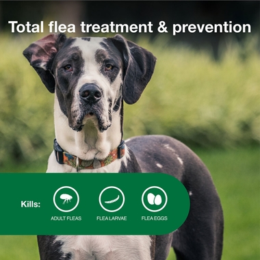 ADVANTAGE-II-XLARGE-DOGS-12-MONTHS-TAPEWORM