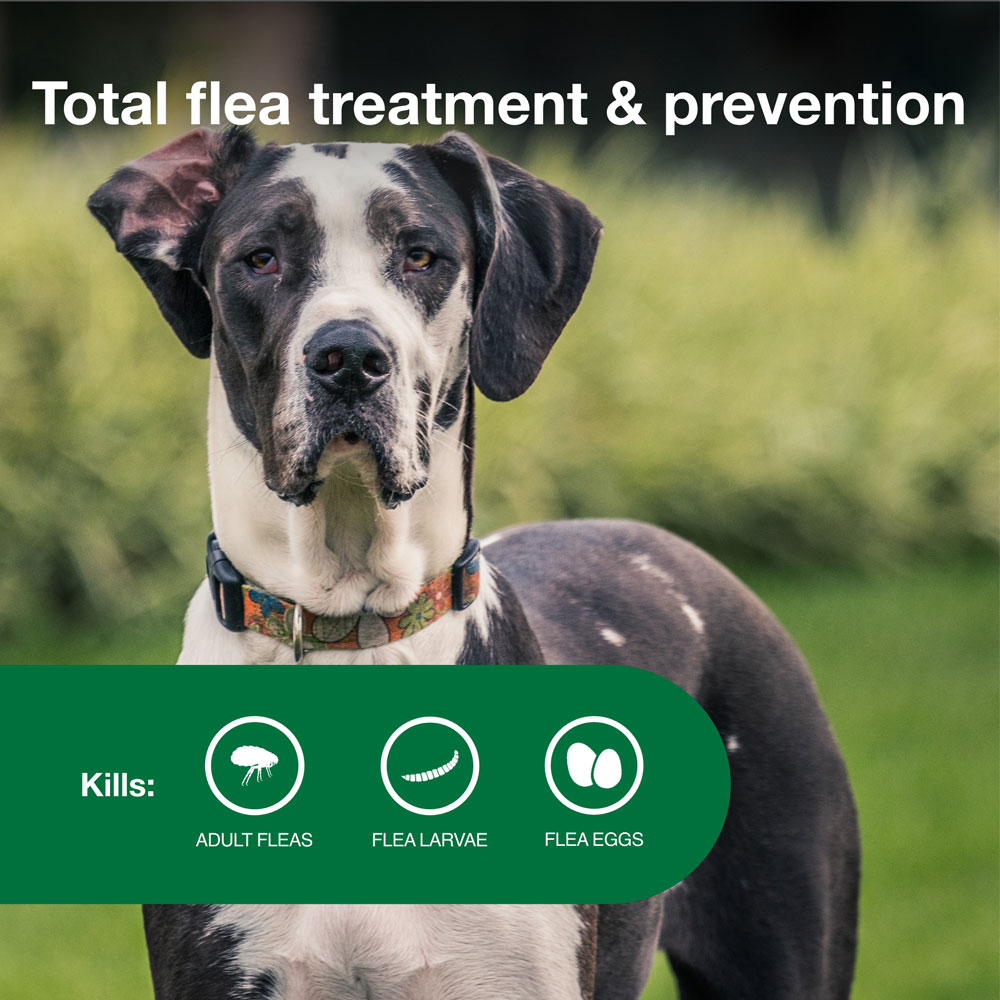 ADVANTAGE-II-XLARGE-DOGS-12-MONTHS-TAPEWORM