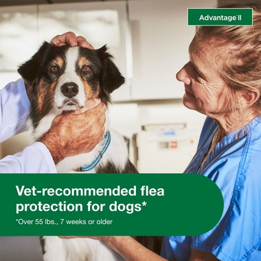 ADVANTAGE-II-XLARGE-DOGS-12-MONTHS-TAPEWORM