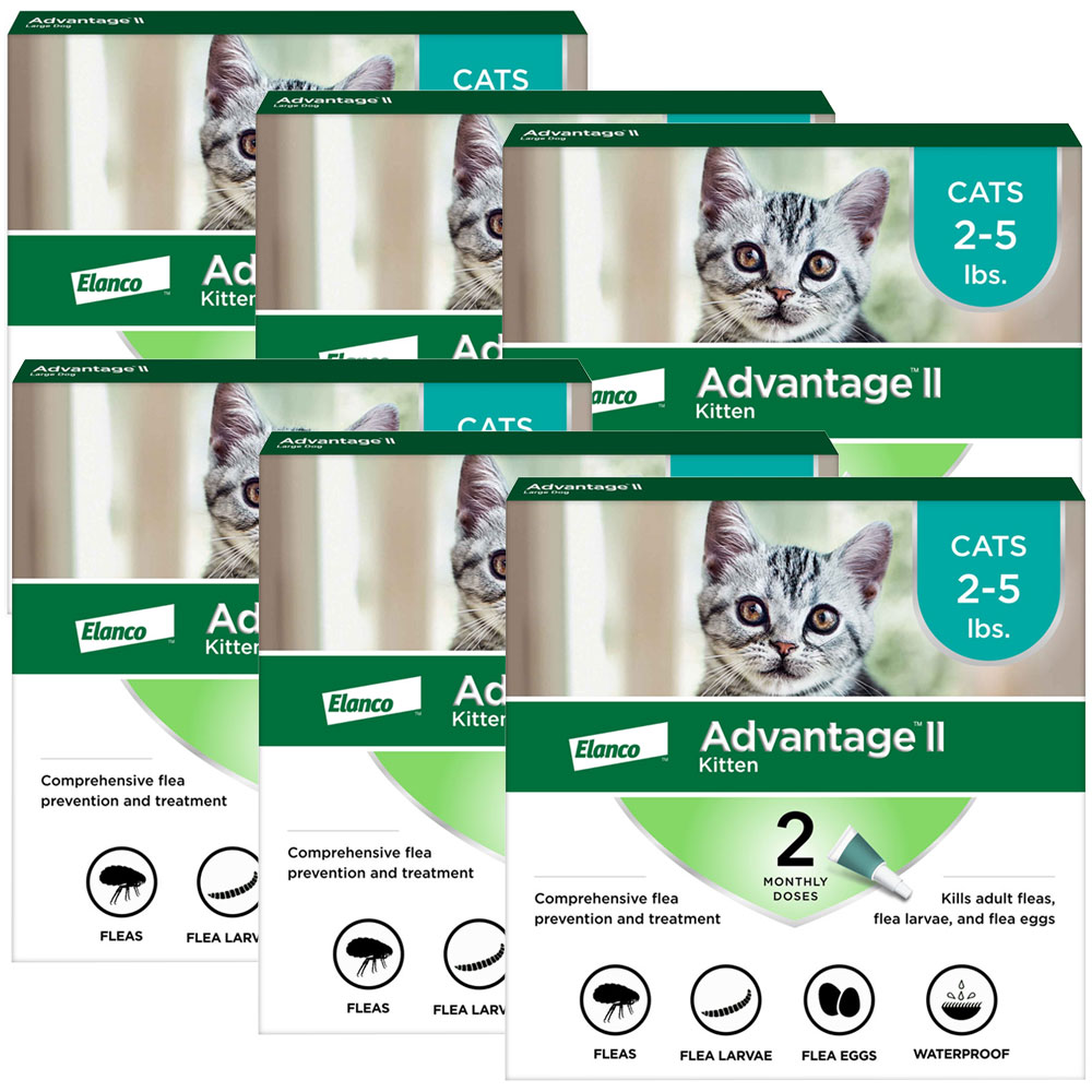 12-MONTH-ADVANTAGE-II-KITTENS