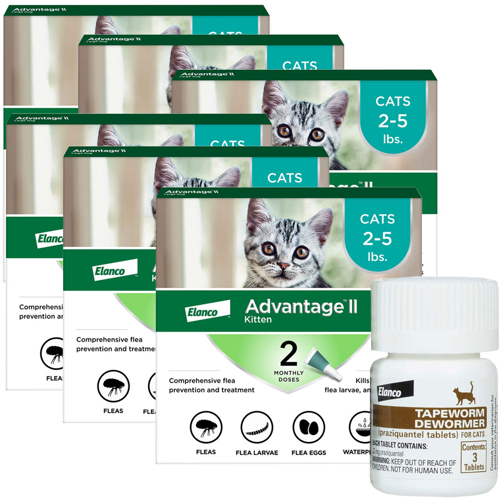 12-MONTH-ADVANTAGE-II-KITTENS-TAPEWORM