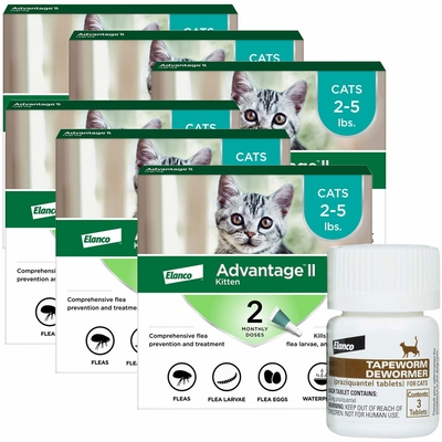 12-MONTH-ADVANTAGE-II-KITTENS-TAPEWORM