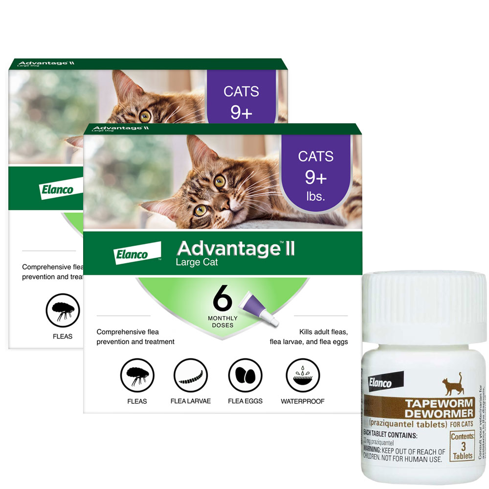 Advantage II Large Cats Over 9 Flea Treatment