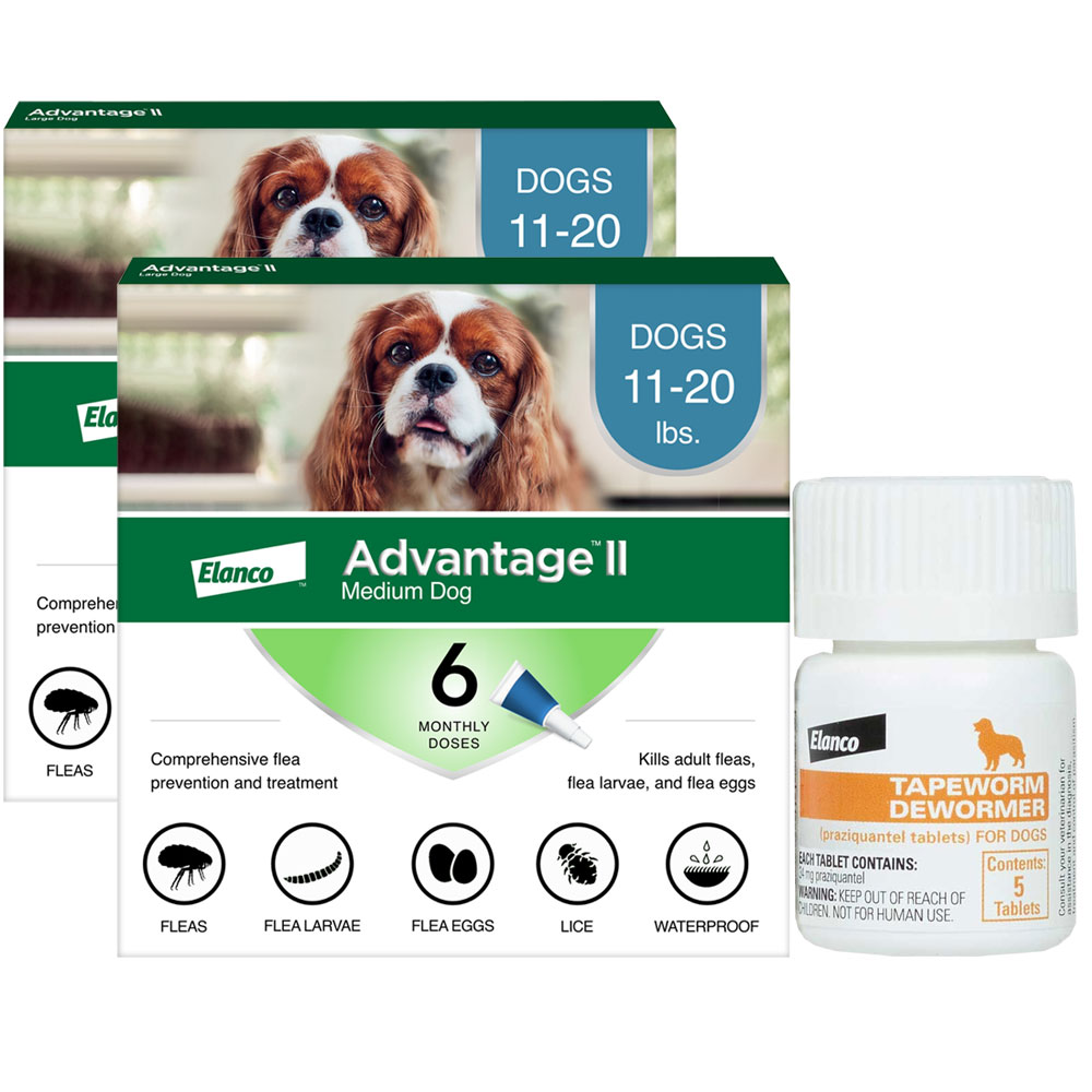Advantage II Medium Dogs 1120 Flea Treatment