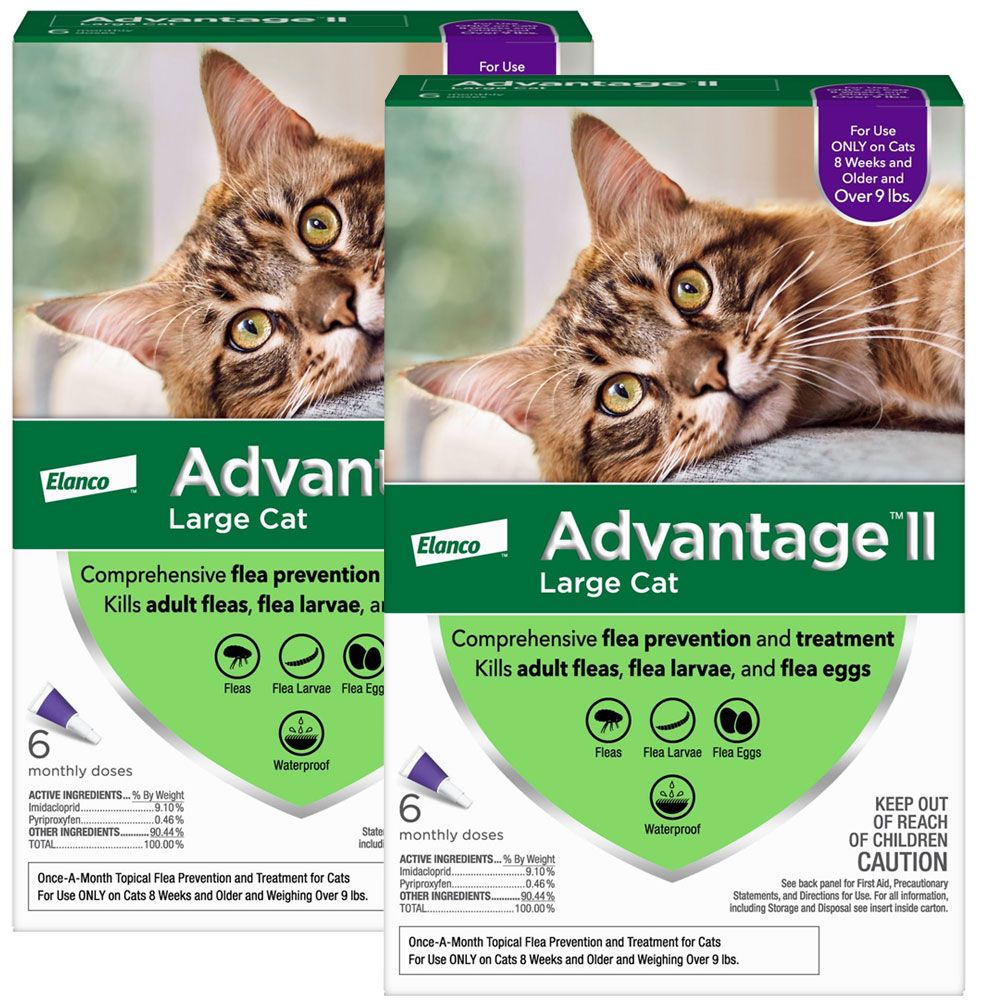 Advantage II for Large Cats (Over 9 lbs) Free Shipping* EntirelyPets