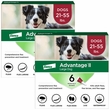 Advantage II Large Dogs 21-55 lbs.|Vet-Recommended Flea Treatment & Prevention|12-Month Supply