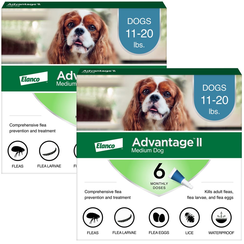 ADVANTAGEIITEAL12