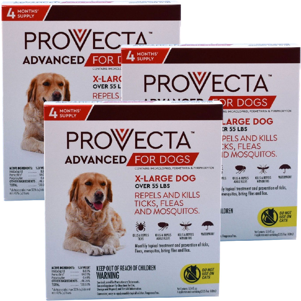 12-MONTH-PROVECTA-EXTRA-LARGE-DOGS