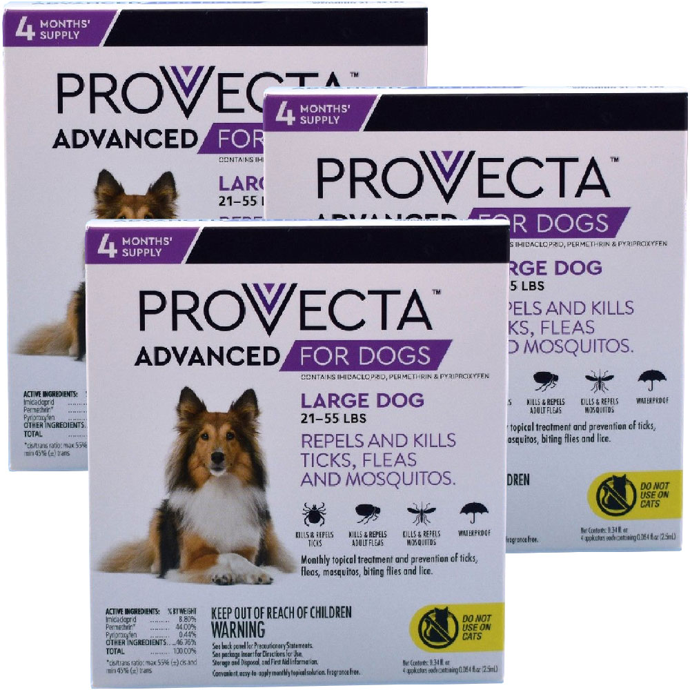 12-MONTH-PROVECTA-LARGE-DOGS