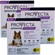 12 MONTH Provecta Advanced for Large Dogs (21-55 lbs)