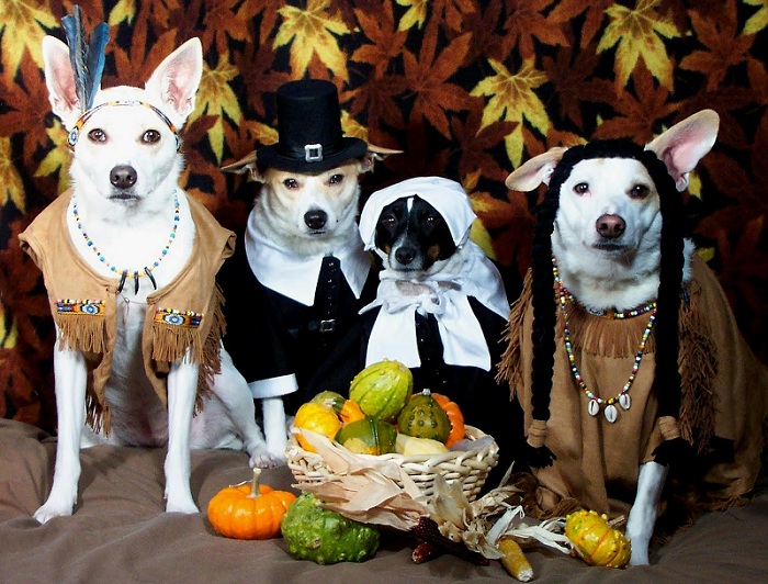 12 Thanksgiving Safety Tips for Pets