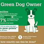 14 Ways To Go Green With Your Dog