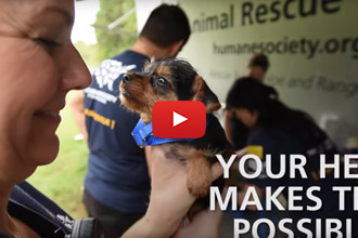 140 Dogs Are Rescued From A NC Puppy Mill