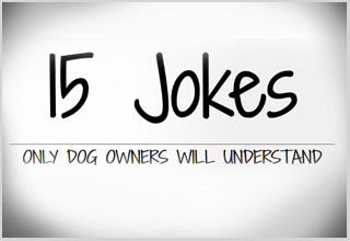15 Dog Jokes You'll Want to Hear