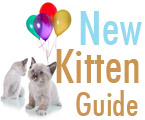18 Must-Have Products For New Cats