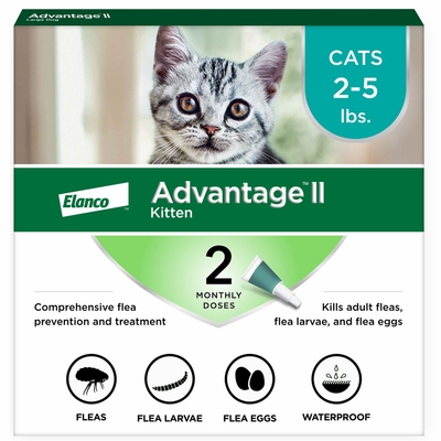 2-MONTH-ADVANTAGE-II-KITTENS