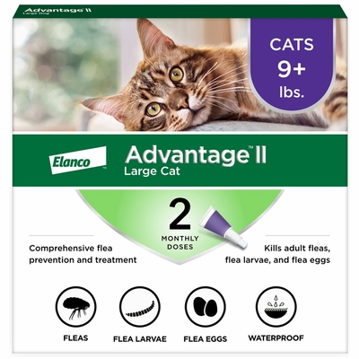 2MNTH-ADVANTAGEII-PURPLE-LARGECAT
