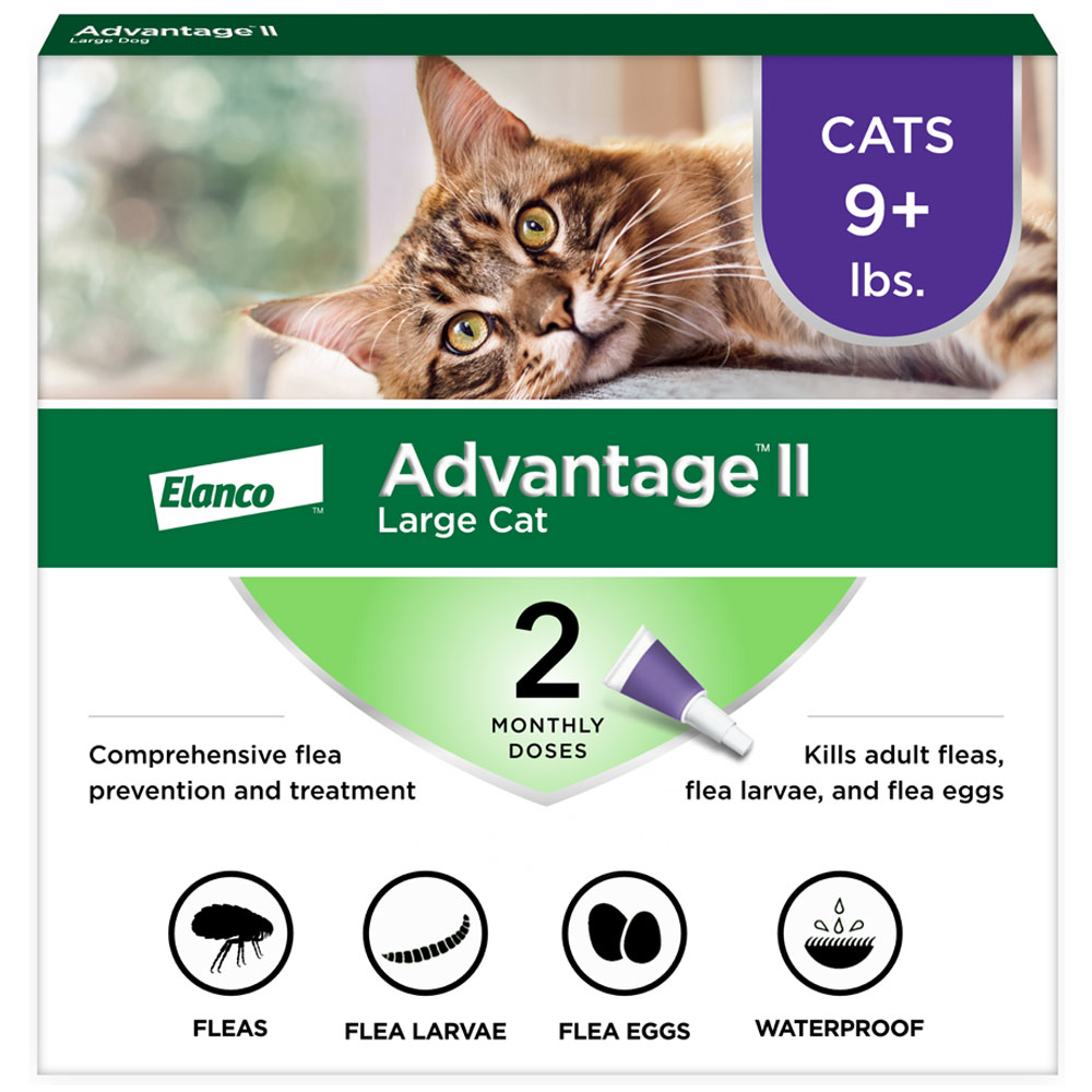 2MNTH-ADVANTAGEII-PURPLE-LARGECAT