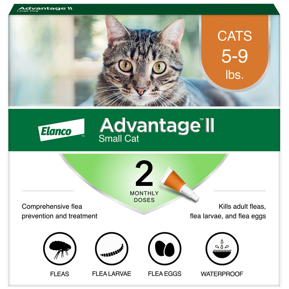 2MNTH-ADVANTAGEII-ORANGE-SMALLCAT