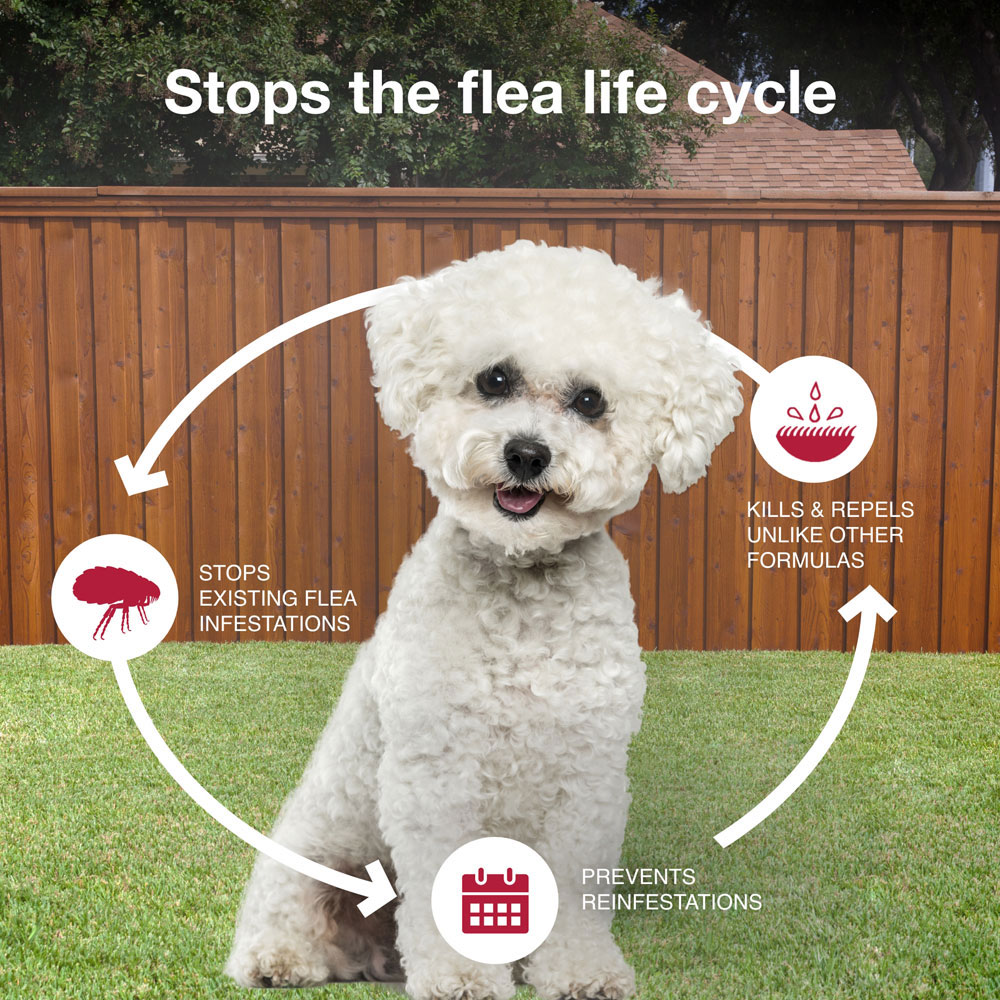 ADVANTIX-II-SMALL-DOGS-2-MONTHS-TAPEWORM
