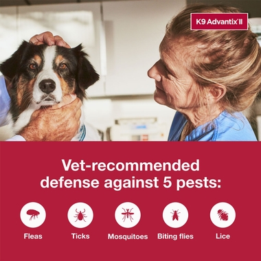 K9-ADVANTIX-II-RED-LARGE-DOG-2-PACK