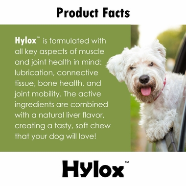 HYLOXSFTCHW240