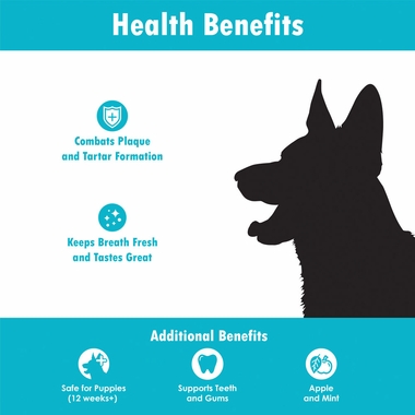 ORA-CLENS-DENTAL-FOAM-10-OZ