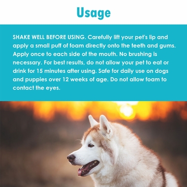 ORA-CLENS-DENTAL-FOAM-10-OZ