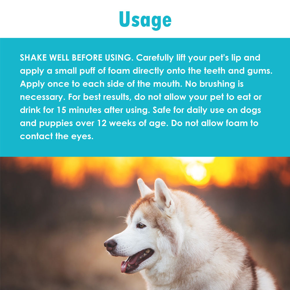 ORA-CLENS-DENTAL-FOAM-10-OZ