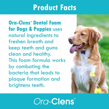 ORA-CLENS-DENTAL-FOAM-10-OZ