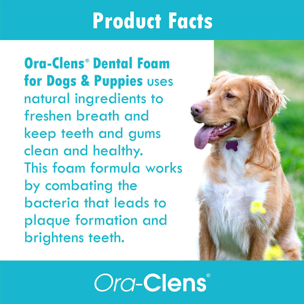 ORA-CLENS-DENTAL-FOAM-10-OZ