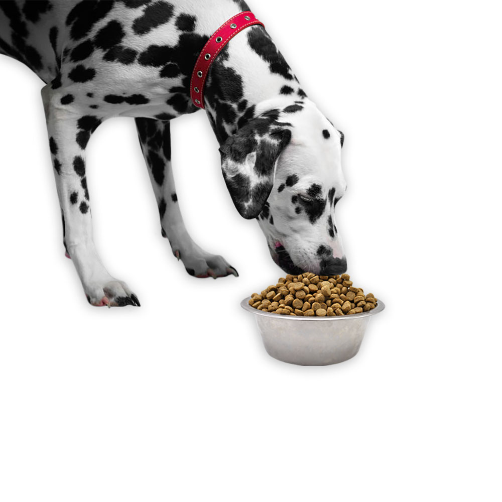 SIMPLY-WILD-LEAN-DOG-CHICKEN-BROWN-RICE-DOG-FOOD-40-LBS