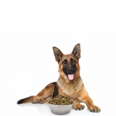 SIMPLY-WILD-LEAN-DOG-CHICKEN-BROWN-RICE-DOG-FOOD-40-LBS