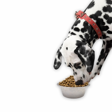 SIMPLY-WILD-LEAN-DOG-CHICKEN-BROWN-RICE-DOG-FOOD-40-LBS