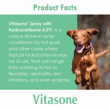 VITASONE8OZ